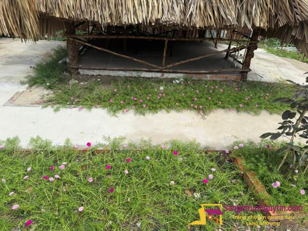 Sang quán ăn - nhậu